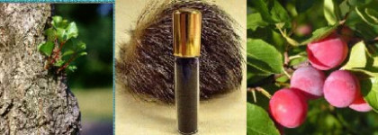 Аромат зимнего дня (моя коллекция парфюмов)