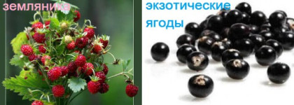 Подарок от мужа на день рождения - аромат Мiss Charming от Juliette Has a Gun