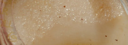 Весь мой уход за телом - большой обзор продуктов от Collistar + Shiseido, Lush, Clarins