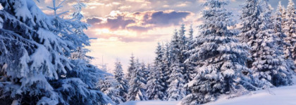 Nimere Parfums. Taiga Whispers\Шепот Тайги