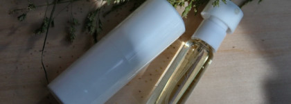 Edgardio Chilini Magisterium. Струящийся сквозь пальцы поток