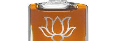 Лето, кони, сухая трава и детские воспоминания