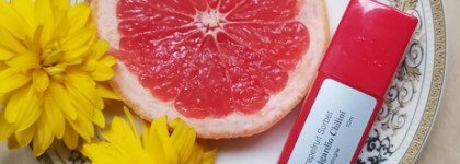 Освежающий десерт Grapefruit Sorbet Edgardio Chilini