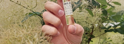 Провокация иланг-иланга и ириса в Le Labo