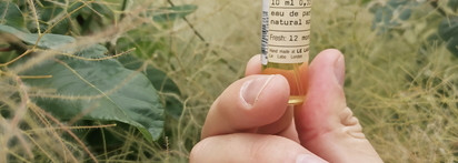 Провокация иланг-иланга и ириса в Le Labo