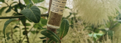 Провокация иланг-иланга и ириса в Le Labo