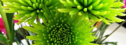 Обзор теней YSL Ombres 5 Lumieres в моей косметичке