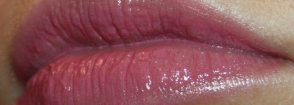 Фаворитка на все времена Shiseido Perfect Rouge RS326