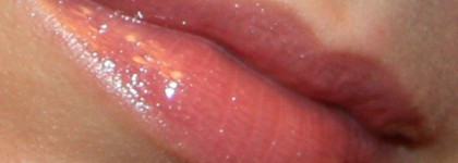 Друг мой - враг мой? Shiseido Luminizing Lip Gloss Brilliant Levres Pur Eclat #303