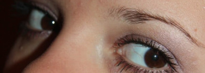 Вересковые поля) Тени-пудра для век couleurs nature Yves Rocher #71 Taupe Bruyere