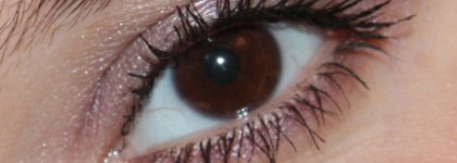 Вересковые поля) Тени-пудра для век couleurs nature Yves Rocher #71 Taupe Bruyere