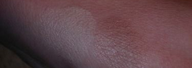 Тени для век двойные компактные Ninelle № 02 для макияжа в стиле нюд (добавлены новые свотчи)