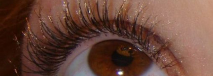 Рождественская коллекция Guerlain 2010 или "капелька предпраздничного настроения"