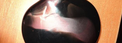 Мое самое большое разочарование: тени Shiseido Silky Eye Shadow Quad Q11