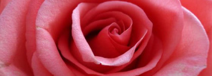 Ещё раз о любви: Chanel Joues Contraste № 55 In love