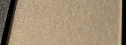 В ожидании зимы с  Shiseido Luminizing Satin Eye Color Trio GY901