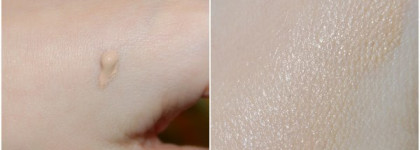 Shiseido The Skincare Tinted Moisture Protection SPF 20 Licht Clair – Тонирующая эмульсия СПФ 20