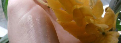 Пудра в жемчужинах  Pearls Magic  от Gosh