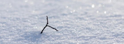 Зимний бальзам-блеск для губ от Черный жемчуг