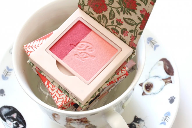 Paul & Joe Cafe Parisien Collection Fall 2015 - Осенняя коллекция макияжа