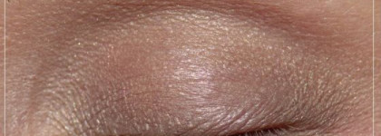 Тени Shiseido Luminizing Satin Eye Color Trio BR307 Горная пещера