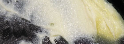 Приятная находка Lush Лимонная сенсация