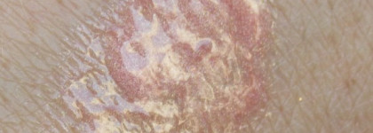 Любимый блеск Estee Lauder Pure Color Gloss Pink Kiss #27