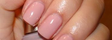 Мои бюджетные нюды Golden Rose