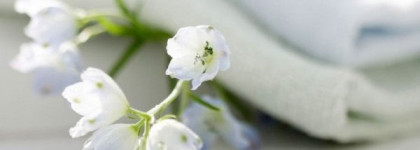 Demeter Laundromat (Прачечная). Нравится ли вам запах свежевыстиранного белья, как нравится мне?