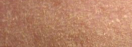 Матирующая пудра Christian Dior Diorskin X4 Control SPF 20