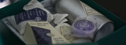 Лаванда, Л'Окситан и Прованс