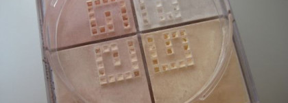 Оттенок 5 Soft White Prisme Libre от Givenchy