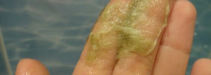 «А они мне нравятся!», или «Средства масс-маркет для тела, достойные внимания»