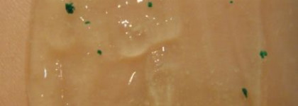 Косметические наждачки, или пилинги и скрабы для лица, не бьющие по бюджету