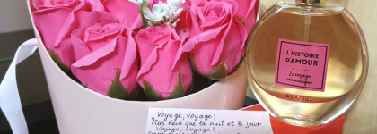 Розовая вуаль. Brocard L'Histoir﻿e D'Amour Le Voyage Romantique