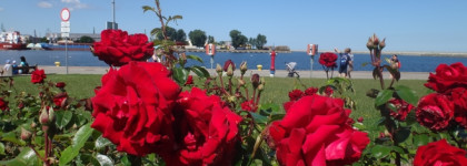 Розовая вуаль. Brocard L'Histoir﻿e D'Amour Le Voyage Romantique