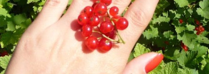 Rimmel Lycra Pro 317- мой коралловый романс