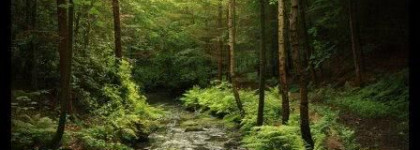 Опальная нимфа или тени Chanel Les 4 Ombres № 74 Nymphea