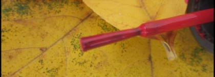 Зерна минимализма