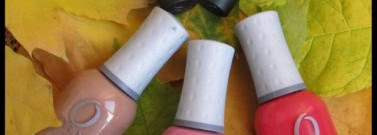 Зерна минимализма