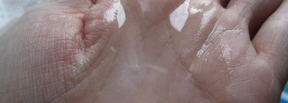 Масляный уход