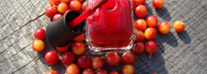 Deborah Lippmann Nail Laquer - My Old Flame