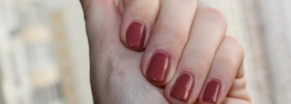 Элегантный Delicatesse, утонченный Infidele и стильный Provocation