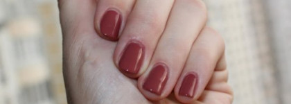 Элегантный Delicatesse, утонченный Infidele и стильный Provocation