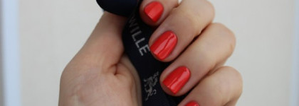 Коралловый мир