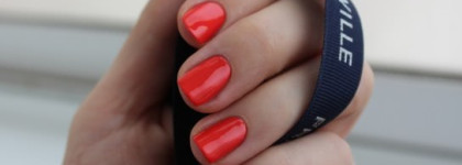 Коралловый мир