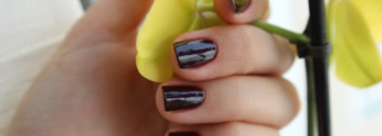 Estee Lauder Pure Color Nail Lacquer 12 Chocolate Crave