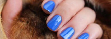 Yves Saint Laurent La Laque Couture 18 Bleu Majorelle