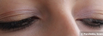 Shiseido Luminizing Satin Eye Color Trio BR 214 Into the Woods