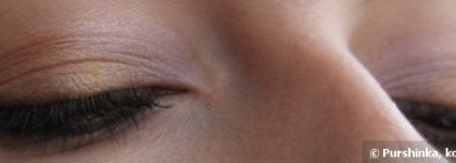 Shiseido Luminizing Satin Eye Color Trio BR 214 Into the Woods